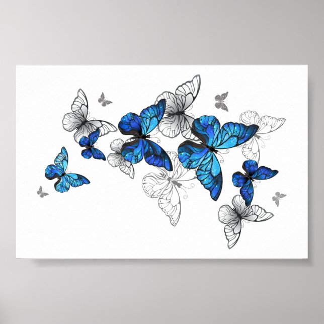 Blue Flying Butterflies Morpho Poster (Vorne)
