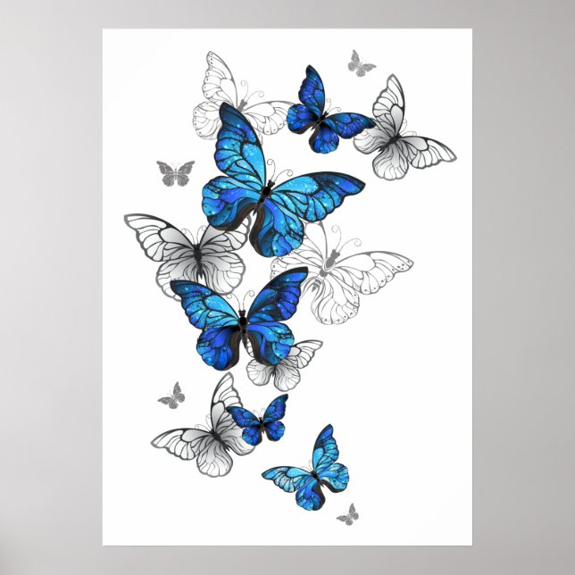 Blue Flying Butterflies Morpho Poster (Vorne)