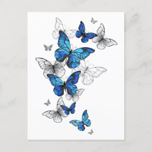 Blue Flying Butterflies Morpho Postkarte