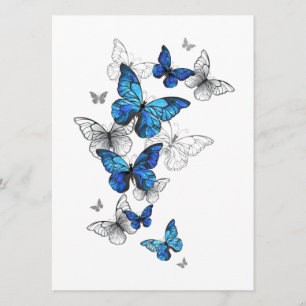 Blue Flying Butterflies Morpho Programm