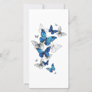 Blue Flying Butterflies Morpho Save The Date