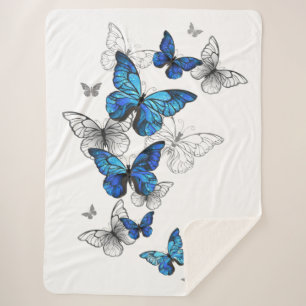 Blue Flying Butterflies Morpho Sherpadecke