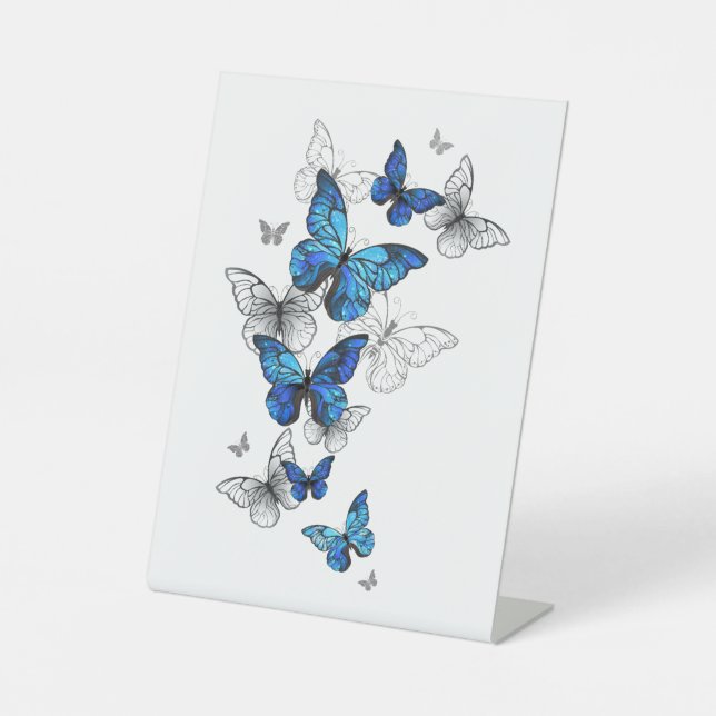 Blue Flying Butterflies Morpho Sockelschild (Vorderseite)