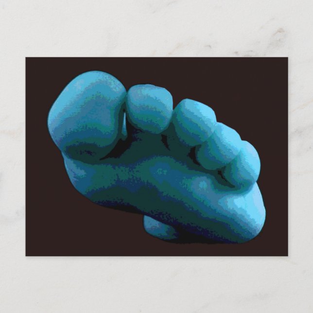 Blue Foot ... Meine 2005 Adobe Fotoshop Art Postkarte (Vorderseite)