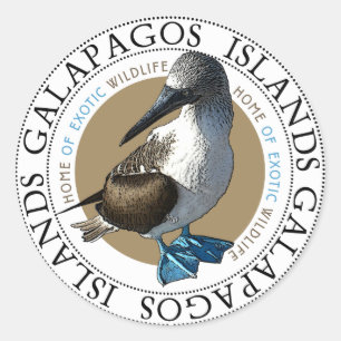 Blue Footed Booby Galapagos Islands Souvenir Runder Aufkleber