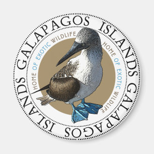Blue Footed Booby-Magnet Magnet