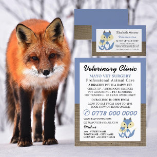 Blue Fox, Veterinary, Veterinary Service Flyer