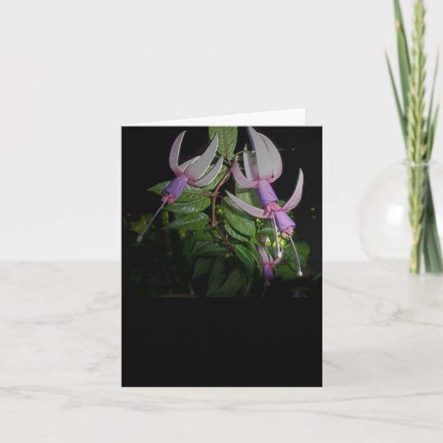 Blue Fushia Note Card Feiertagskarte (Vorderseite)