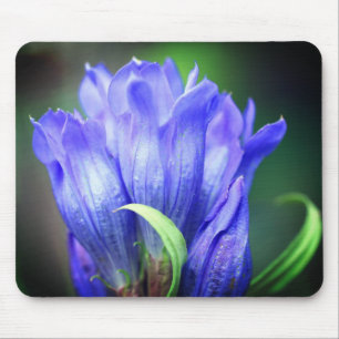 Blue Gentian Blume Mousepad