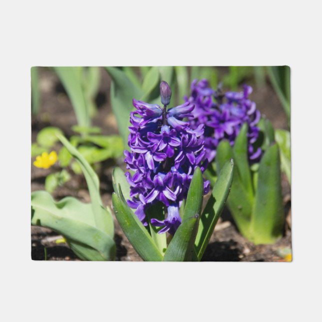 Blue Geocinth im Frühjahr Fußmatte (Vorderseite)