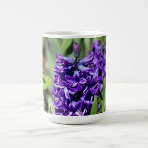 Blue Geocinth im Frühjahr Kaffeetasse