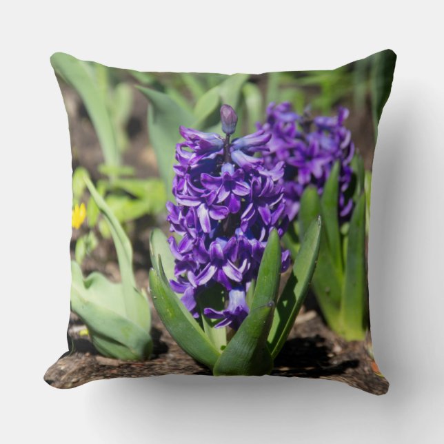 Blue Geocinth im Frühjahr Kissen (Vorderseite)