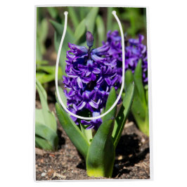 Blue Geocinth im Frühjahr Mittlere Geschenktüte