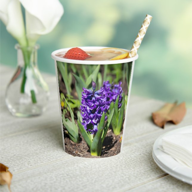 Blue Geocinth im Frühjahr Pappbecher (In Situ)