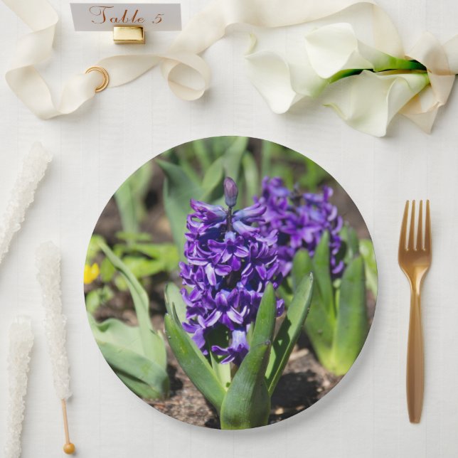 Blue Geocinth im Frühjahr Pappteller (Hochzeit)