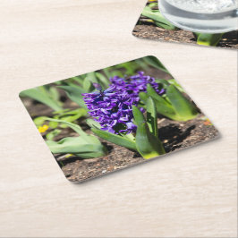 Blue Geocinth im Frühjahr Rechteckiger Pappuntersetzer