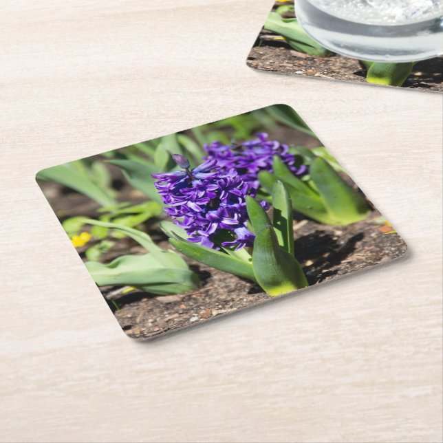 Blue Geocinth im Frühjahr Rechteckiger Pappuntersetzer (angewinkelt)