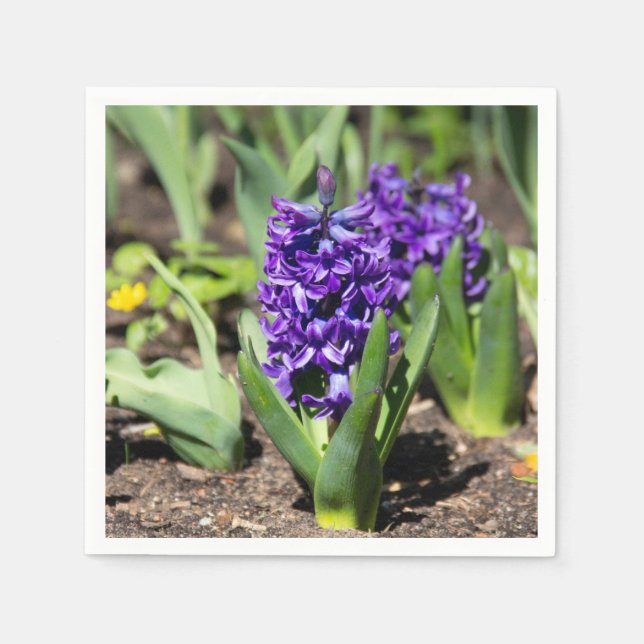 Blue Geocinth im Frühjahr Serviette (Vorderseite)