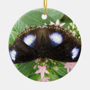 Blue Gepunktet Butterfly Ornament