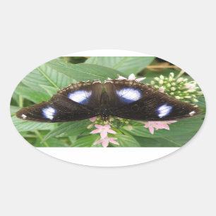 Blue Gepunktet Butterfly Stickers