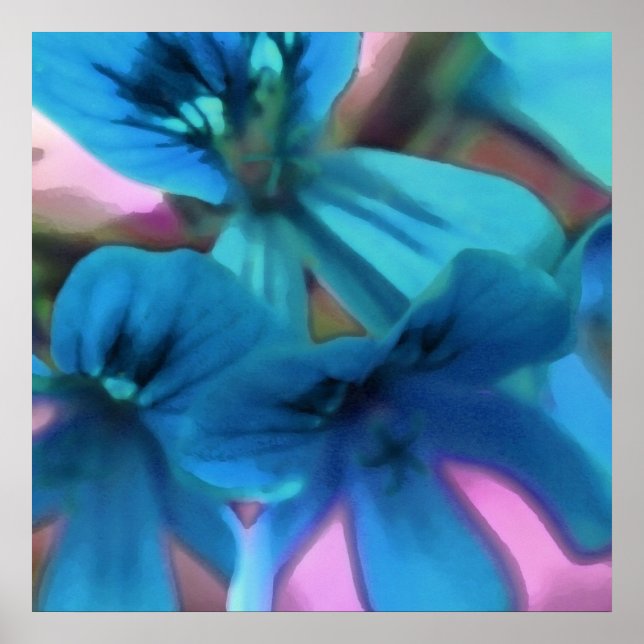 Blue Geraniums Poster (Vorne)