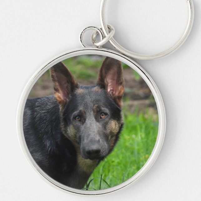 Blue German Shepherd Dog Schlüsselanhänger (Vorne)