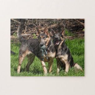 Blue German Shepherd Duo Puzzle