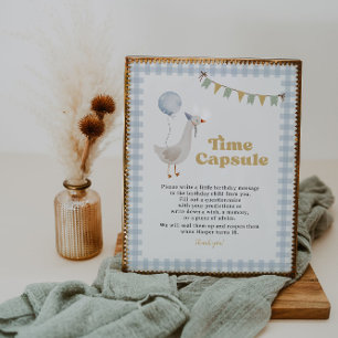 Blue Gingham Ein Albernes Goose Time Kapsel Zeiche