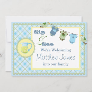 Blue Gingham Sip and See Bunting Baby Invasion Einladung