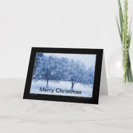 Blue Glass und Winter Äpfel Weihnachtskarte Karte