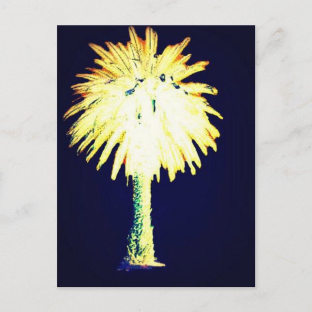 Blue Gold Canary Island Date Palm Postkarte (Vorderseite)