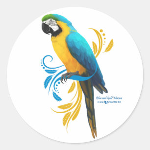 Blue-Gold-Macaw-Round-Aufkleber Runder Aufkleber