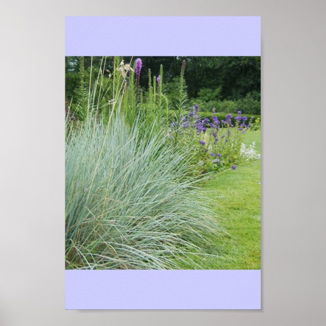 BLUE GRASS UND PURPLE BLUMEN POSTER (Vorne)