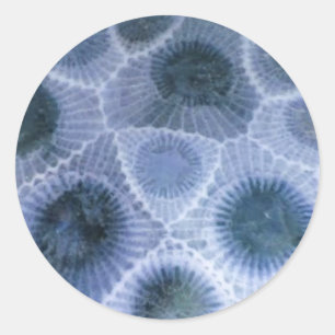 Blue Graue Petoskey Stone Stickers