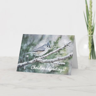 Blue Gray Bird im Schnee Weihnachtskarte Karte