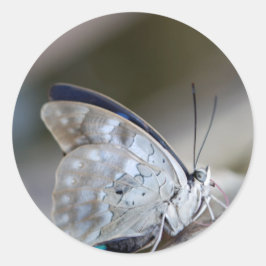 Blue Gray Butterfly Runder Aufkleber