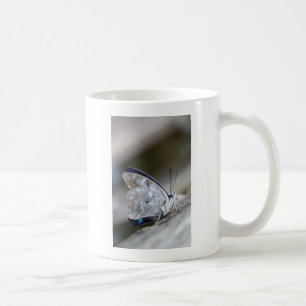 Blue Gray Butterfly Tasse