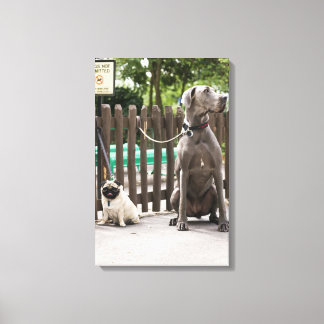 Blue Great Dane und Mops Hunde an der Leine Leinwanddruck