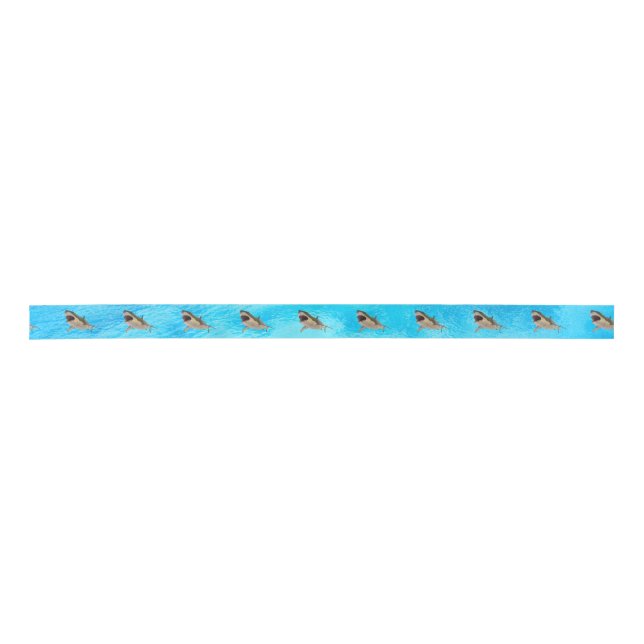 Blue Great White Shark Geschenk Ribbon Satinband (Vorderseite)
