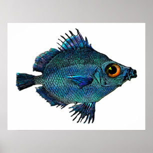 Blue Green Fantasy Discus Poster