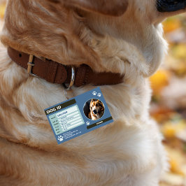 Blue Green Modern Dog ID Tag: Einfach und stilvoll Ausweis