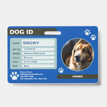 Blue Green Modern Dog ID Tag: Einfach und stilvoll