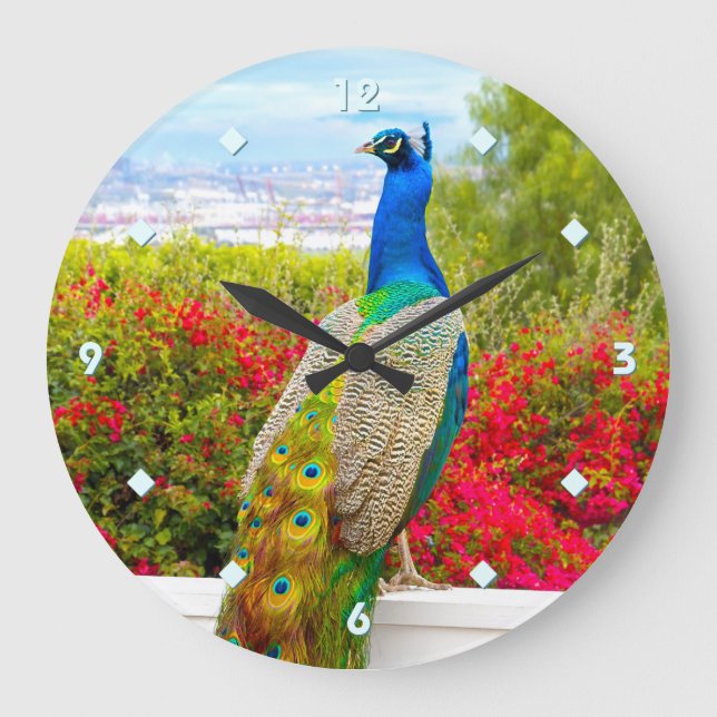 Blue Green Peacock Foto Schönes, modernes Design Große Wanduhr (Vorderseite)