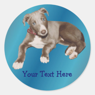 Blue Greyhound Puppy Animal Sticker