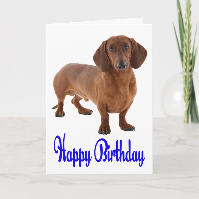 Blue Happy Birthday Dackel Puppy Dog Card Karte (Vorderseite)