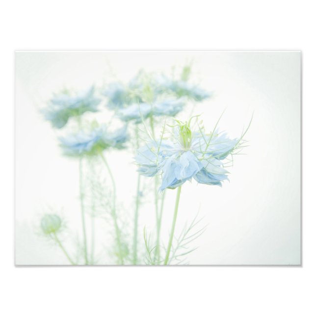 Blue Haze Large Fotodruck (Vorne)