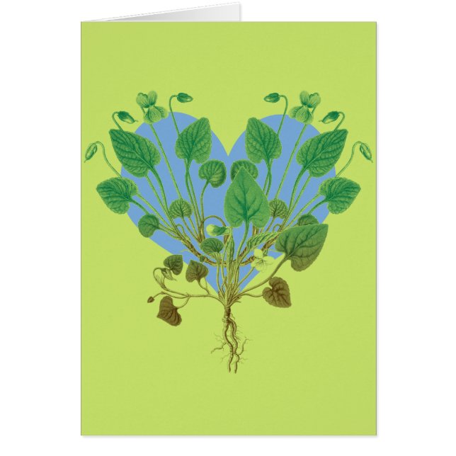 Blue Heart Green Blätter (Vorne)