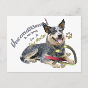 Blue Heeler bedingungslose Liebe Postkarte