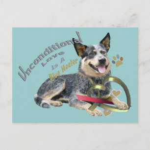 Blue Heeler bedingungslose Liebe Postkarte