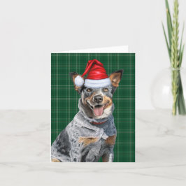 Blue Heeler Christmas Dog Grün Karierte Weihnachte Feiertagskarte